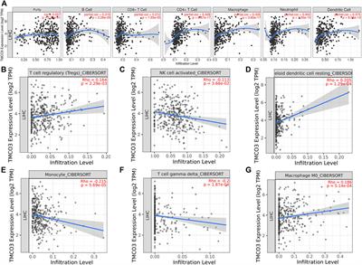 Transmembrane and coiled-coil domains 3 is a diagnostic biomarker for predicting immune checkpoint blockade efficacy in hepatocellular carcinoma